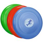 Frisbee
